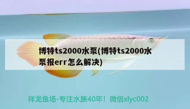 博特ts2000水泵(博特ts2000水泵報(bào)err怎么解決) 博特水族