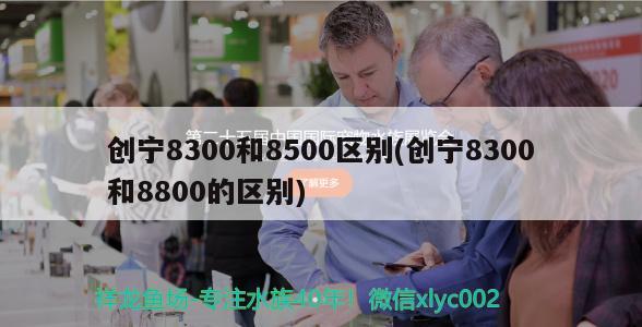 創(chuàng)寧8300和8500區(qū)別(創(chuàng)寧8300和8800的區(qū)別)