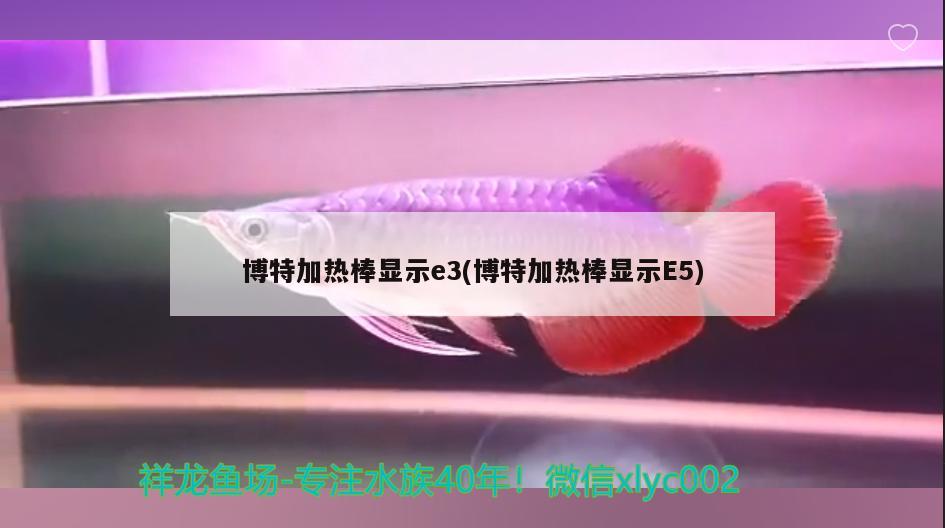 博特加熱棒顯示e3(博特加熱棒顯示E5) 博特水族