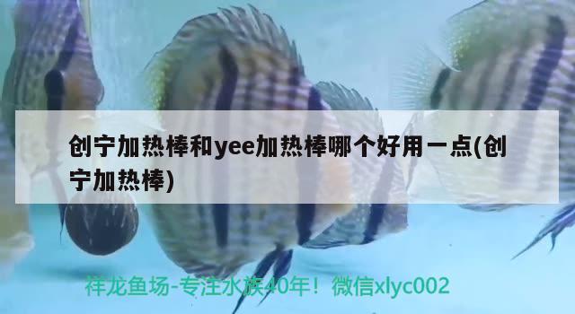 創(chuàng)寧加熱棒和yee加熱棒哪個好用一點(創(chuàng)寧加熱棒) yee