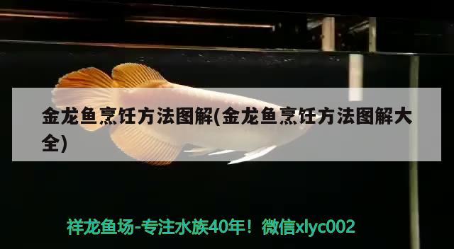 金龍魚(yú)烹飪方法圖解(金龍魚(yú)烹飪方法圖解大全)