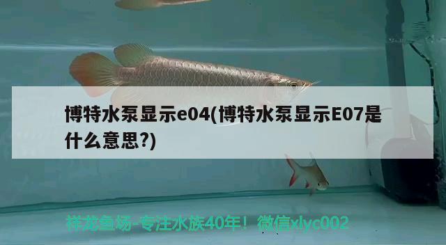 博特水泵顯示e04(博特水泵顯示E07是什么意思?)