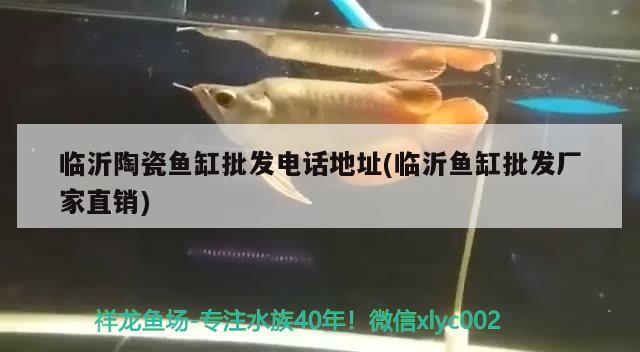 臨沂陶瓷魚缸批發(fā)電話地址(臨沂魚缸批發(fā)廠家直銷)