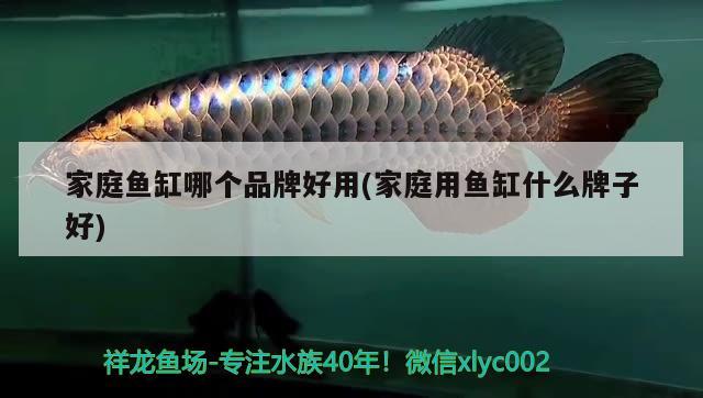 家庭魚缸哪個(gè)品牌好用(家庭用魚缸什么牌子好) 錦鯉池魚池建設(shè)