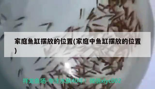 家庭魚缸擺放的位置(家庭中魚缸擺放的位置)