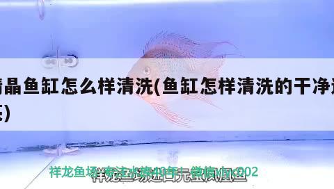 精晶魚缸怎么樣清洗(魚缸怎樣清洗的干凈透亮)