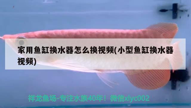 家用魚缸換水器怎么換視頻(小型魚缸換水器視頻)