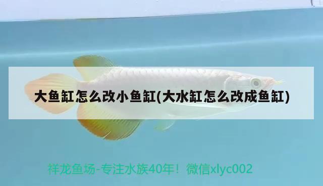 大魚(yú)缸怎么改小魚(yú)缸(大水缸怎么改成魚(yú)缸) 廣州水族器材濾材批發(fā)市場(chǎng)