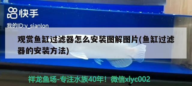 觀賞魚(yú)缸過(guò)濾器怎么安裝圖解圖片(魚(yú)缸過(guò)濾器的安裝方法) 三間鼠魚(yú)苗