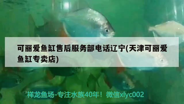 可麗愛魚缸售后服務(wù)部電話遼寧(天津可麗愛魚缸專賣店) 祥龍魚場(chǎng)品牌產(chǎn)品 第2張