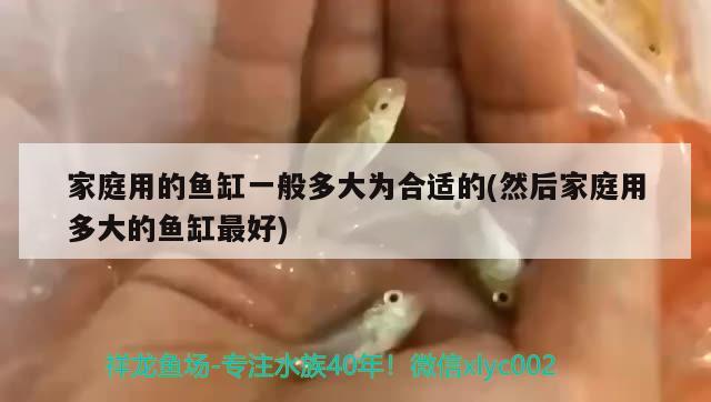 家庭用的魚缸一般多大為合適的(然后家庭用多大的魚缸最好)