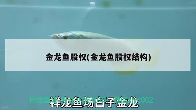 金龍魚股權(quán)(金龍魚股權(quán)結(jié)構(gòu)) 女王大帆魚苗