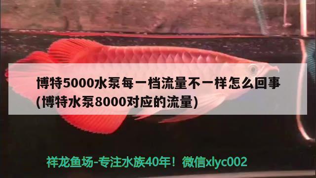 博特5000水泵每一檔流量不一樣怎么回事(博特水泵8000對應(yīng)的流量)