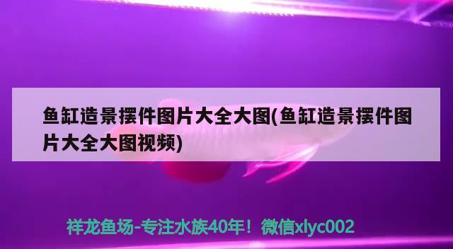 魚缸造景擺件圖片大全大圖(魚缸造景擺件圖片大全大圖視頻) 虎紋銀版魚