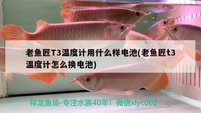 老魚匠T3溫度計用什么樣電池(老魚匠t3溫度計怎么換電池) 老魚匠