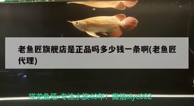 老魚匠旗艦店是正品嗎多少錢一條啊(老魚匠代理) 老魚匠