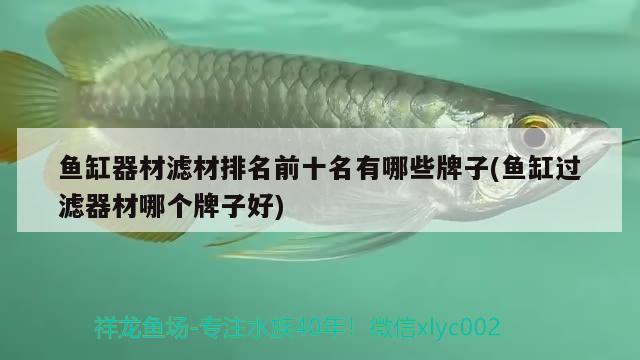 魚缸器材濾材排名前十名有哪些牌子(魚缸過濾器材哪個牌子好) 龍魚百科