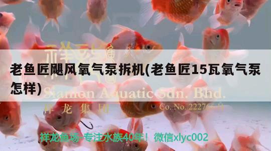 老魚匠颶風氧氣泵拆機(老魚匠15瓦氧氣泵怎樣) 老魚匠