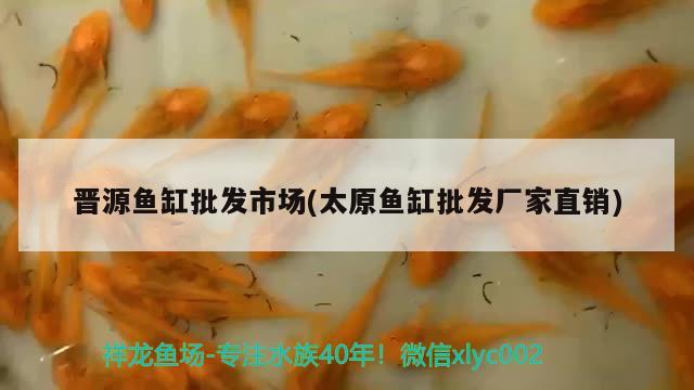 晉源魚(yú)缸批發(fā)市場(chǎng)(太原魚(yú)缸批發(fā)廠家直銷)