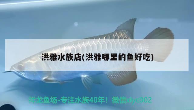 洪雅水族店(洪雅哪里的魚好吃) 觀賞魚批發(fā)