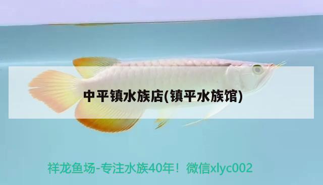 中平鎮(zhèn)水族店(鎮(zhèn)平水族館) 熱帶魚魚苗批發(fā)