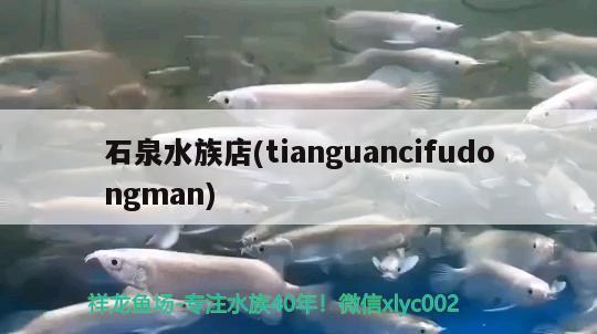 石泉水族店(tianguancifudongman)