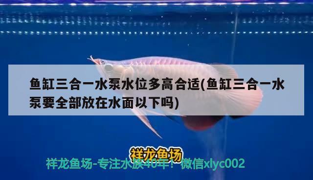 魚缸三合一水泵水位多高合適(魚缸三合一水泵要全部放在水面以下嗎)