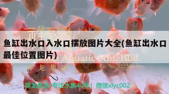 魚缸出水口入水口擺放圖片大全(魚缸出水口最佳位置圖片) 大正錦鯉魚 第2張