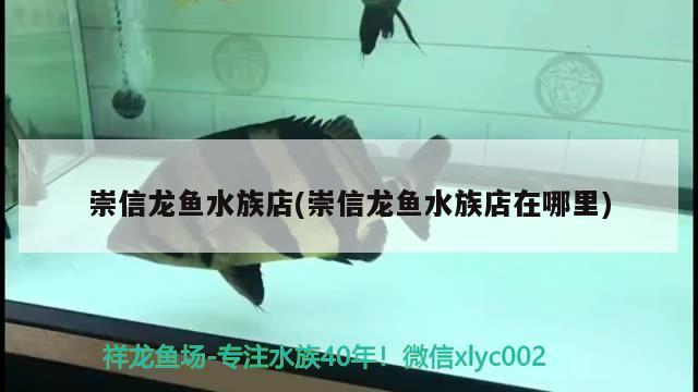 崇信龍魚水族店(崇信龍魚水族店在哪里) 噴點(diǎn)菠蘿魚