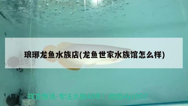 瑯琊龍魚水族店(龍魚世家水族館怎么樣) 虎魚百科