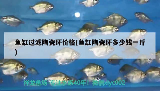 魚缸過濾陶瓷環(huán)價格(魚缸陶瓷環(huán)多少錢一斤)