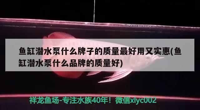 魚缸潛水泵什么牌子的質(zhì)量最好用又實惠(魚缸潛水泵什么品牌的質(zhì)量好) 肥料