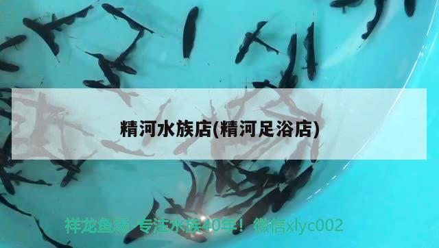 精河水族店(精河足浴店)