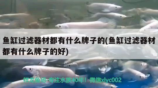 魚缸過濾器材都有什么牌子的(魚缸過濾器材都有什么牌子的好)