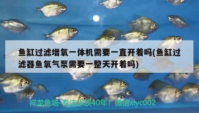 魚缸過濾增氧一體機(jī)需要一直開著嗎(魚缸過濾器魚氧氣泵需要一整天開著嗎) 非洲金鼓魚