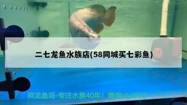 二七龍魚水族店(58同城買七彩魚) 祥龍超血紅龍魚