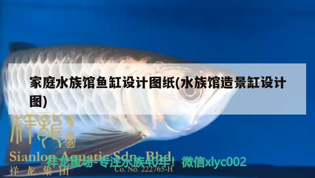 家庭水族館魚(yú)缸設(shè)計(jì)圖紙(水族館造景缸設(shè)計(jì)圖)