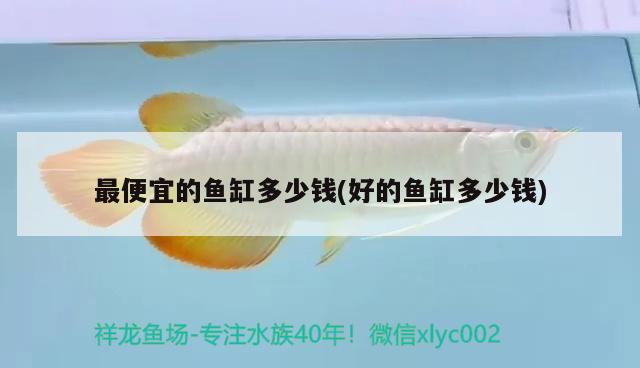 最便宜的魚缸多少錢(好的魚缸多少錢) 硝化細菌