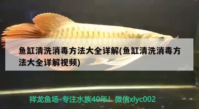 魚缸清洗消毒方法大全詳解(魚缸清洗消毒方法大全詳解視頻) 魚缸風(fēng)水