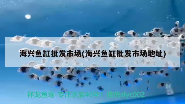 海興魚缸批發(fā)市場(chǎng)(海興魚缸批發(fā)市場(chǎng)地址) 喂食器