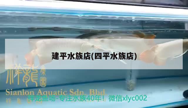 建平水族店(四平水族店) 羅漢魚