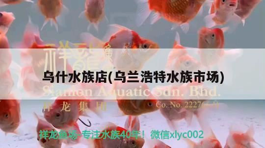 烏什水族店(烏蘭浩特水族市場(chǎng))