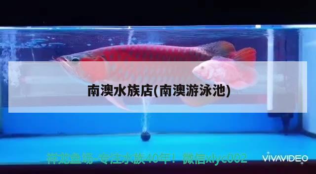 南澳水族店(南澳游泳池) 紅龍專用魚糧飼料