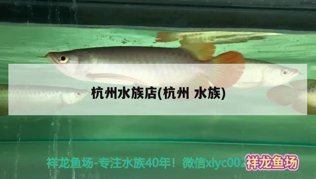 杭州水族店(杭州水族) 可麗愛(ài)魚(yú)缸