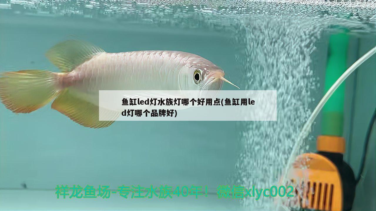 魚缸led燈水族燈哪個好用點(魚缸用led燈哪個品牌好) 羅漢魚