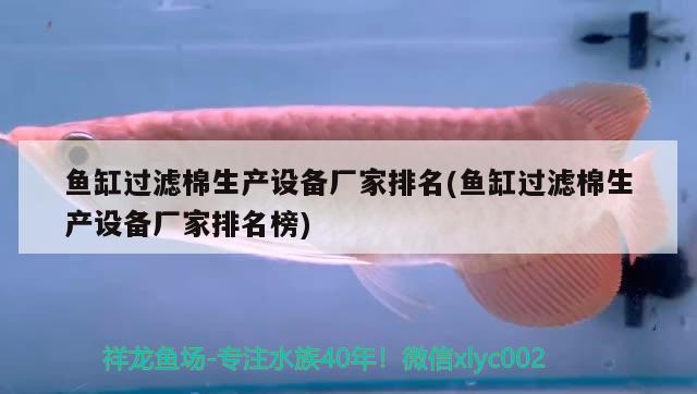 魚缸過(guò)濾棉生產(chǎn)設(shè)備廠家排名(魚缸過(guò)濾棉生產(chǎn)設(shè)備廠家排名榜) 小型觀賞魚