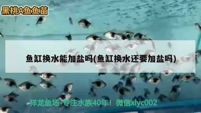 魚缸換水能加鹽嗎(魚缸換水還要加鹽嗎)