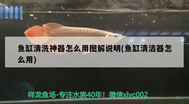 魚缸清洗神器怎么用圖解說明(魚缸清潔器怎么用) 狗仔招財貓魚