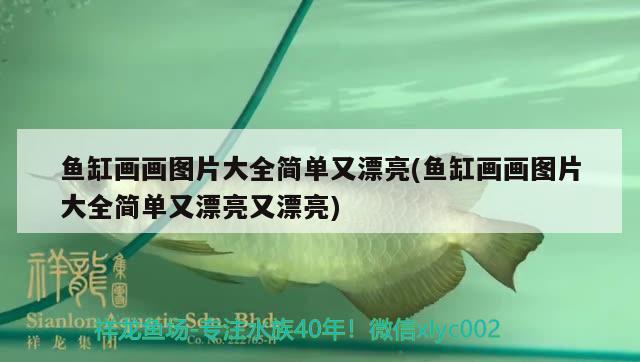 魚缸畫畫圖片大全簡單又漂亮(魚缸畫畫圖片大全簡單又漂亮又漂亮) 魚缸水質(zhì)穩(wěn)定劑