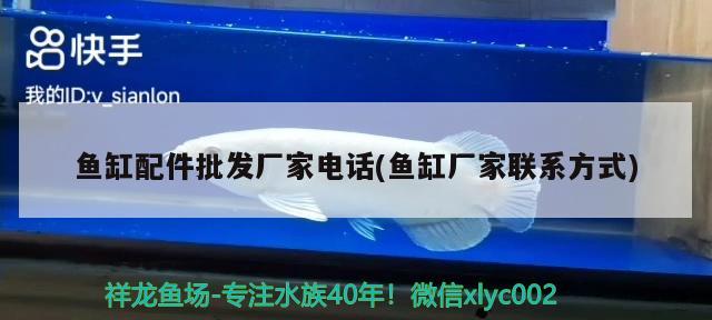 魚缸配件批發(fā)廠家電話(魚缸廠家聯(lián)系方式) 魟魚百科